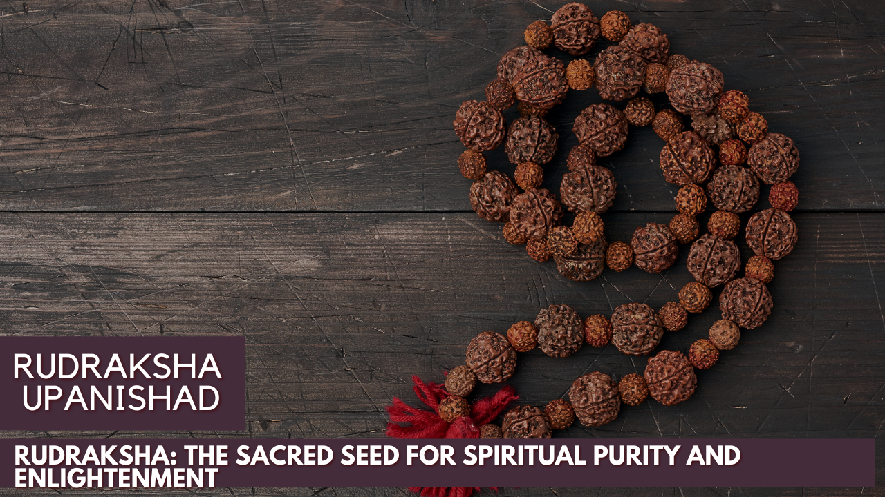Rudraksha